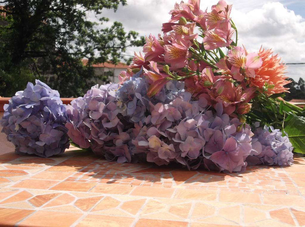 Casa Do Tear Villa Macieira de Alcoba ห้อง รูปภาพ