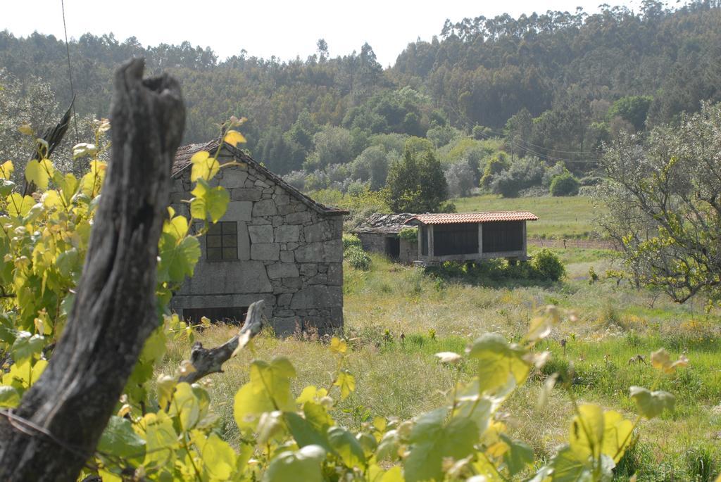 Casa Do Tear Villa Macieira de Alcoba ห้อง รูปภาพ