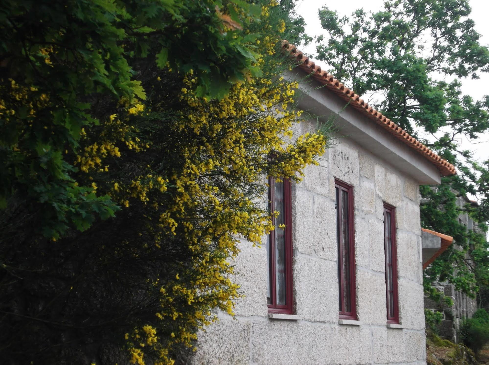 Casa Do Tear Villa Macieira de Alcoba ภายนอก รูปภาพ